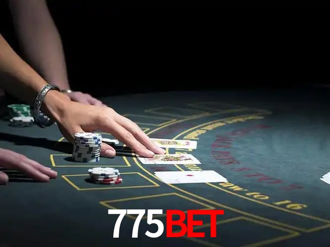 775bet Salvador - Support